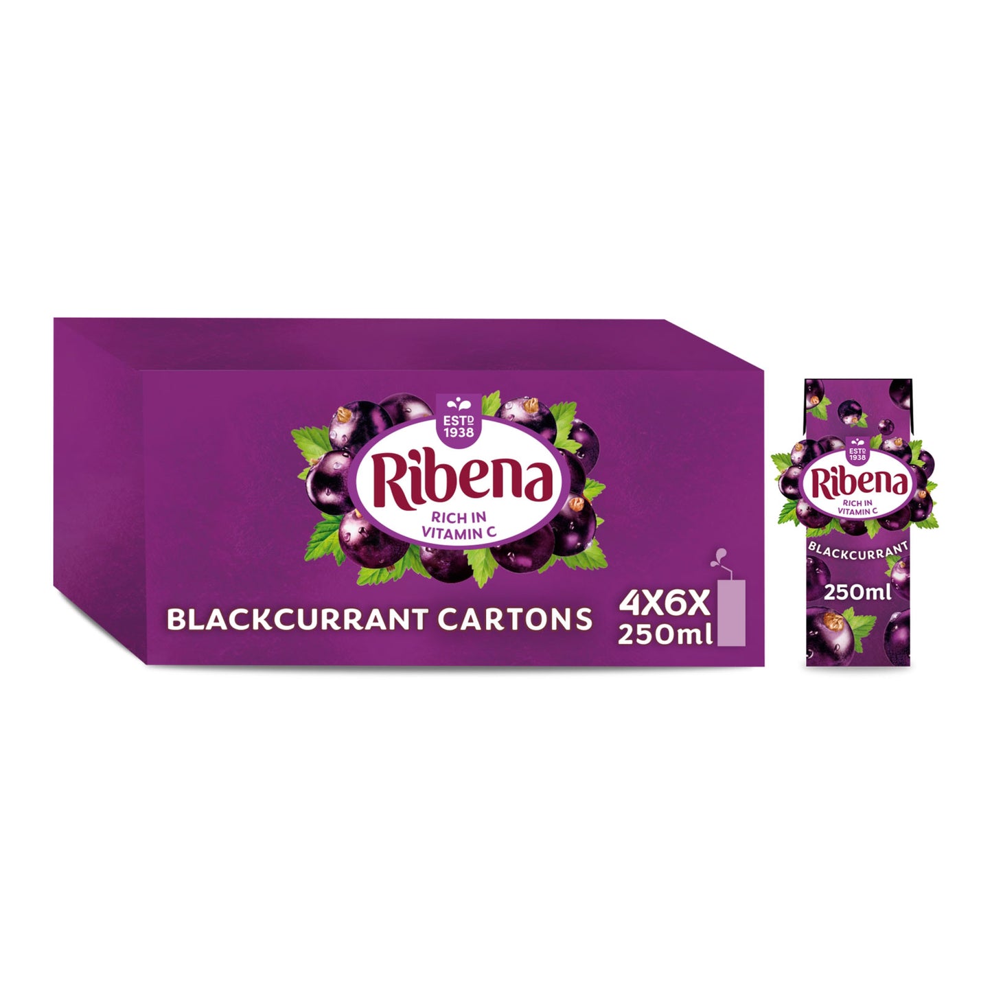 RIBENA BLACKCURRANT 6PK 02/26