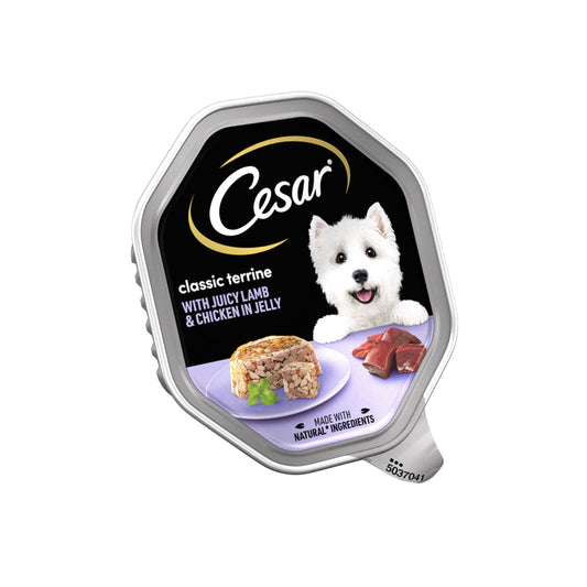CESAR DOG TRAY LAMB & CHICKEN 17/12/26