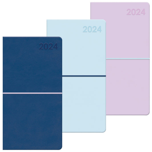 DIARY 2025 SLIM MOLE ASST COLOURS (R)