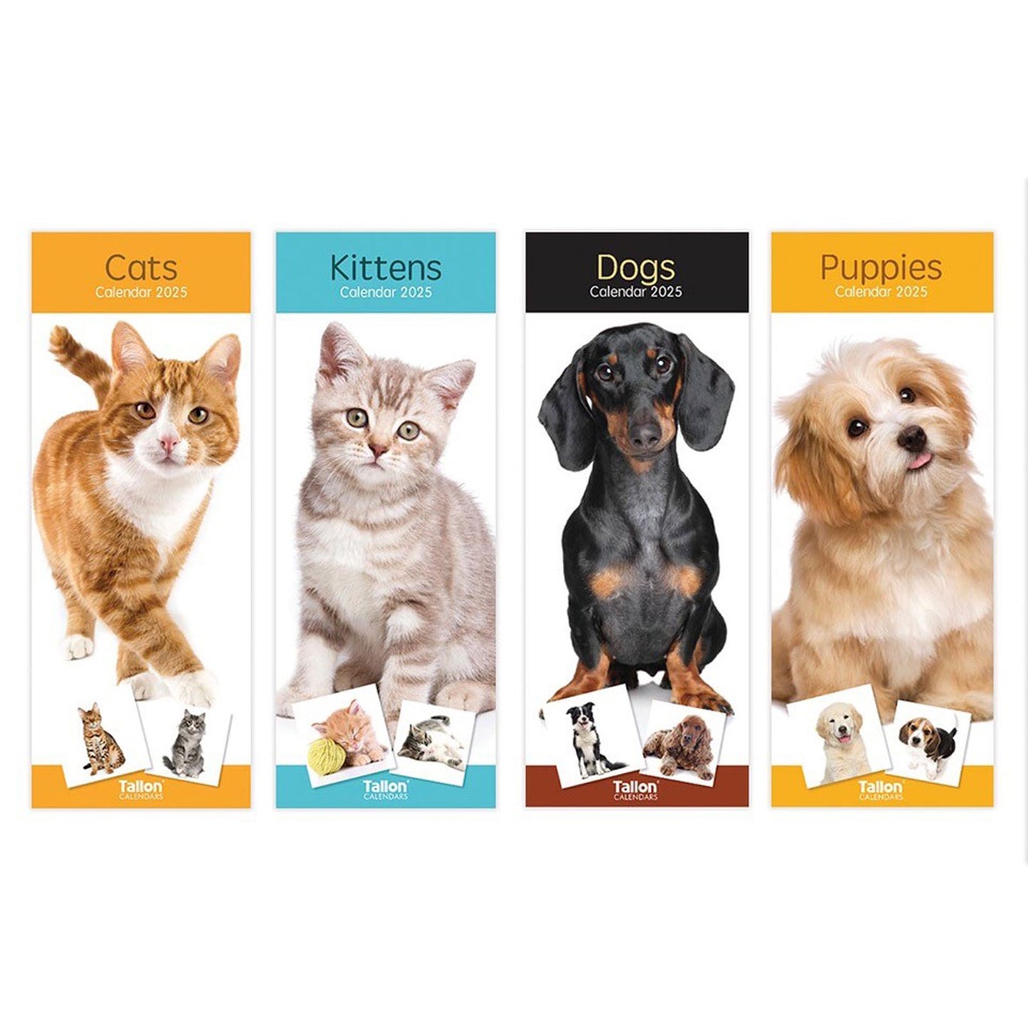 CALENDAR 2025 SLIM ANIMALS ASSORTED