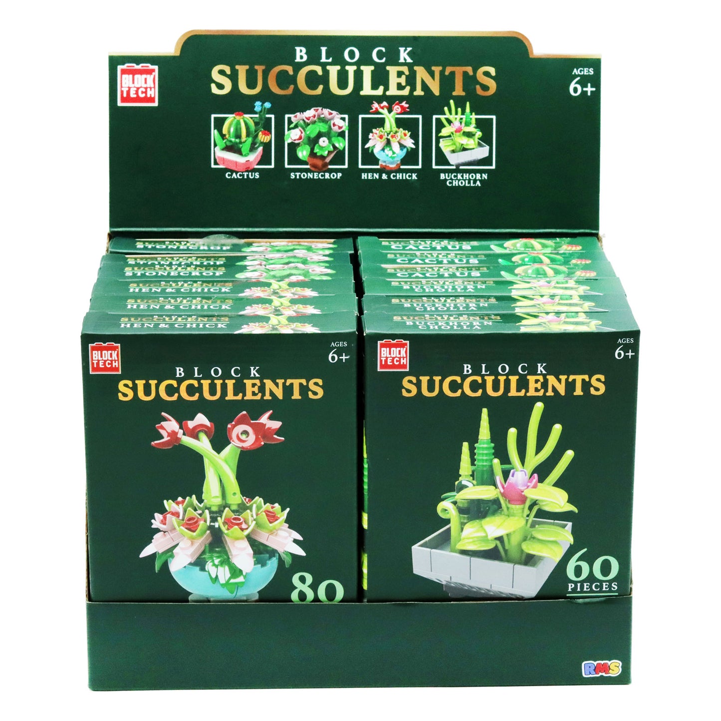 BLOCK TECH BLOCKS PLANTS ASST DISPLAY(R)