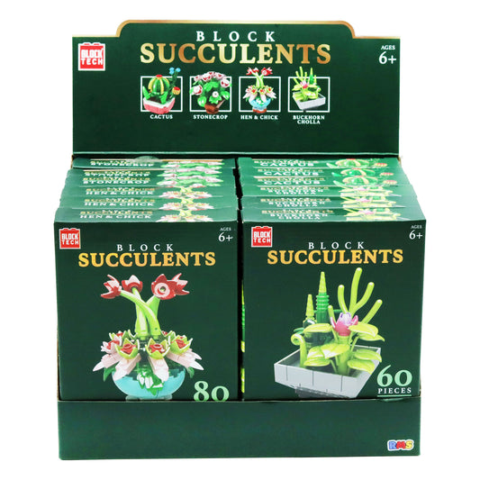 BLOCK TECH BLOCKS PLANTS ASST DISPLAY(R)