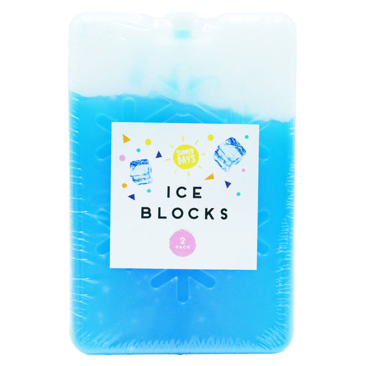ICE BLOCKS 2PK IN DISPLAY(R)