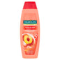 PALMOLIVE SHAMPOO 2IN1 HYDRA PEACH