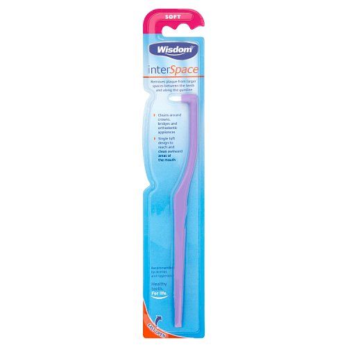 WISDOM INTERSPACE T/BRUSH