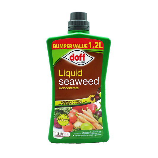 DOFF LIQUID SEAWEED - BUMPER VALUE