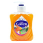 CAREX ANTIBAC HAND WASH ZOG FIERY FRESH(D)