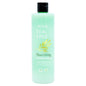ANOVIA CONDITIONER TEA TREE NOURISHING 05/28
