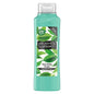 ALBERTO BALSAM SHAMPOO 350ML TEA TREE