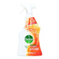 DETTOL SPRAY 1LTR POWER & PURE KITCHEN